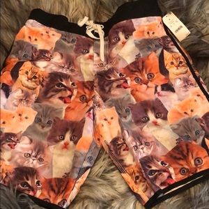 Kitten shorts